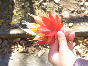 20101127_06.jpg