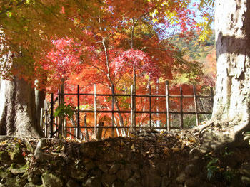 20101127_07.jpg