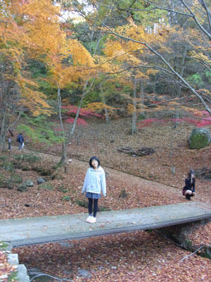 20101127_08.jpg
