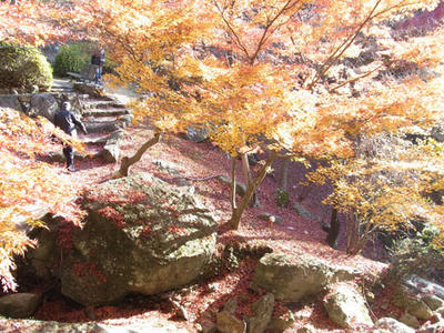 20101127_11.jpg