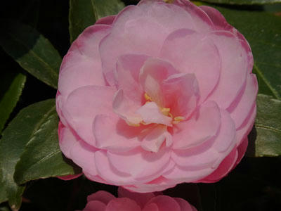 20101129_02.jpg