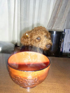 20101213_01.jpg