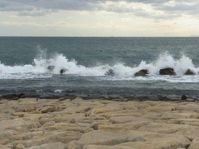 20101215_01.jpg