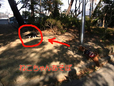 20101227_01.jpg