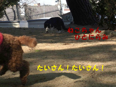 20101227_02.jpg