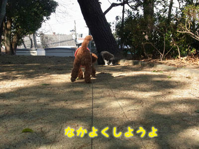 20101227_03.jpg