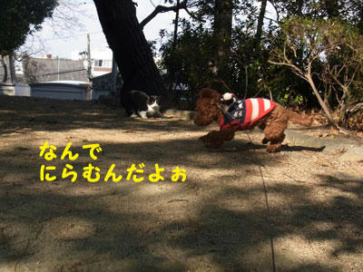 20101227_04.jpg