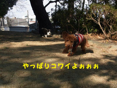 20101227_05.jpg