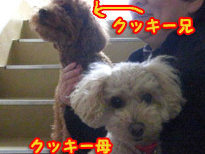 20110101_02.jpg