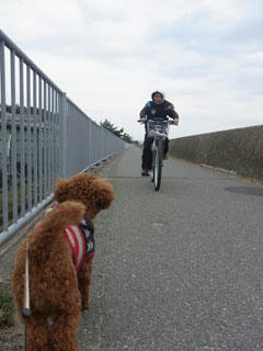 20110105_03.JPG