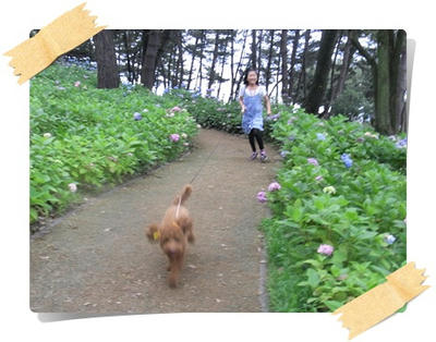 2011_0619_182151-R1020590.JPG