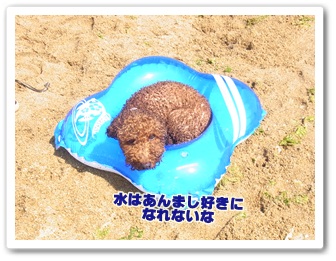 グレモード?