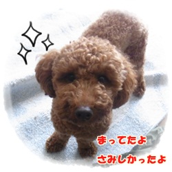 まったましたっ!