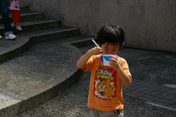 IMGP0377.JPG