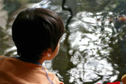 IMGP0382.JPG