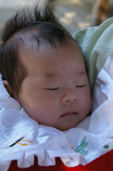 IMGP1275.JPG