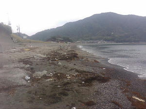 20080628103544.jpg
