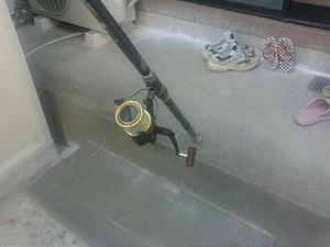 20080810171543.jpg