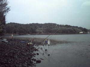 HIMG0016_400.jpg