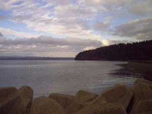 HIMG0023_400.jpg