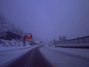 HIMG0024_400.jpg