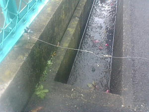 20090222095159.jpg