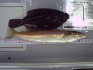 HIMG0022_640.jpg