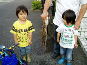 P1010008_1280.jpg