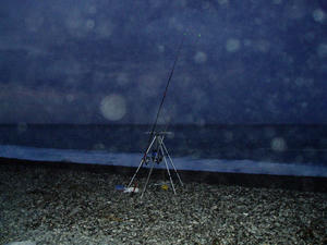 P1010001_1280.jpg