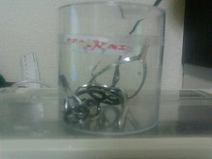 20090903065557.jpg