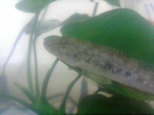 20090923203504.jpg