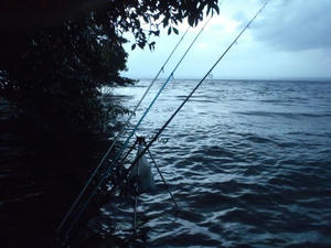 PB280004_640.jpg