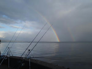 PC040042_640.jpg