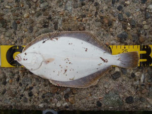 PB180112_640.jpg