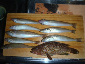 PB180117_640.jpg