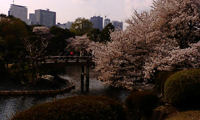 20080404143413.jpg