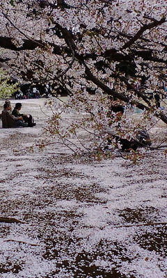 20080404143801.jpg
