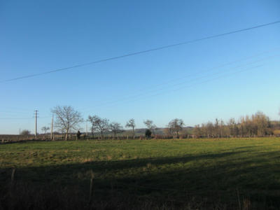 f261cfa6.JPG