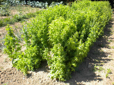 DSCN0299.JPG