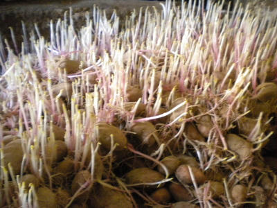 DSCN0301.JPG
