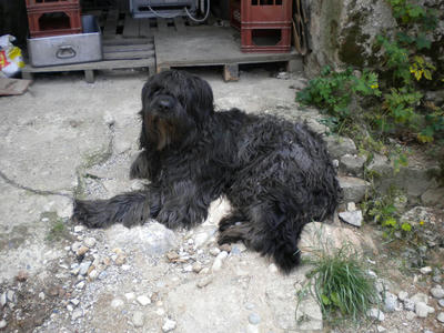 DSCN0202.JPG