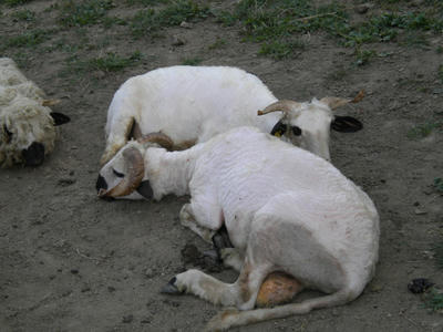 DSCN0340.JPG