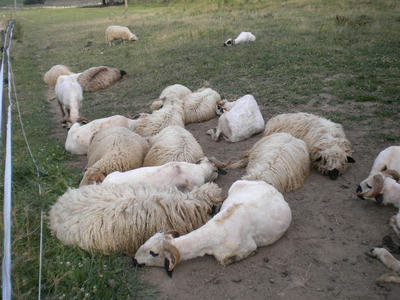 DSCN0341.JPG