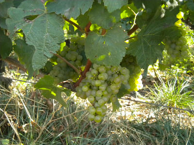 DSCN1895.JPG