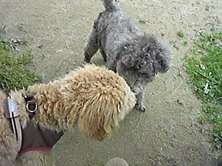 120429_134931.jpg
