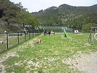 120429_125702.jpg