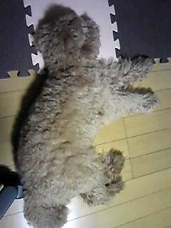 120513_225209.jpg