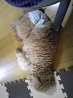 120512_142259.jpg