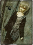 dp21p2.jpg