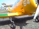 2009061211.jpg